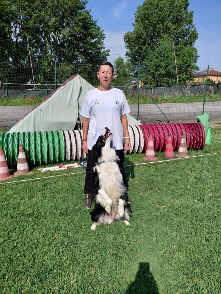 Orgoglio di Costanza: Antonella Signorelli e Shine conquistano l’8° posto agli Europei di Dog Dance a Karlskrona